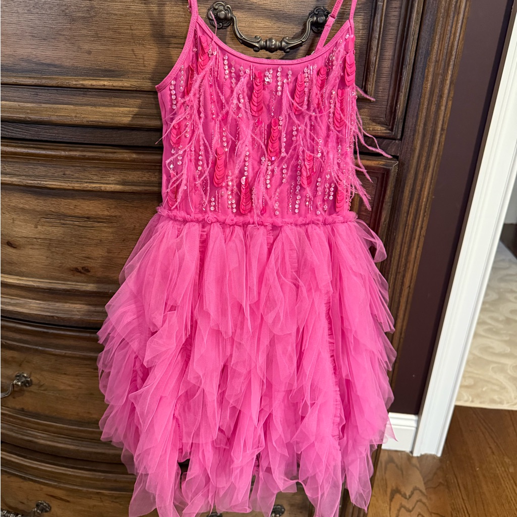 Tutu Du Monde Fuchsia Feathered Dress